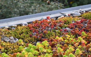 the cost of Spaunton green roof installation