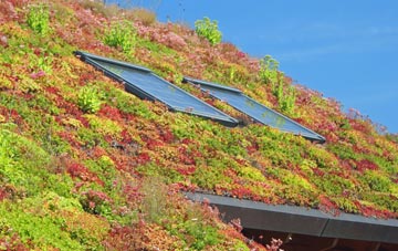 Spaunton living roof systems
