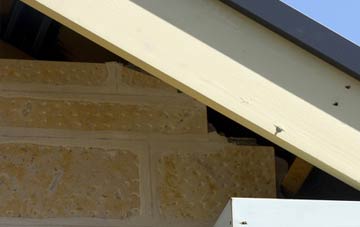 soffit repair Spaunton